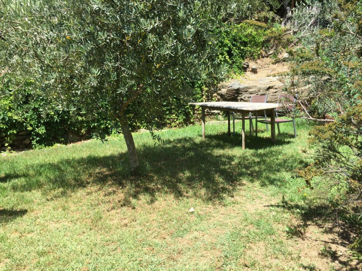 Maison De Charme Corse Sauvage Pietra-di-Verde Exterior foto